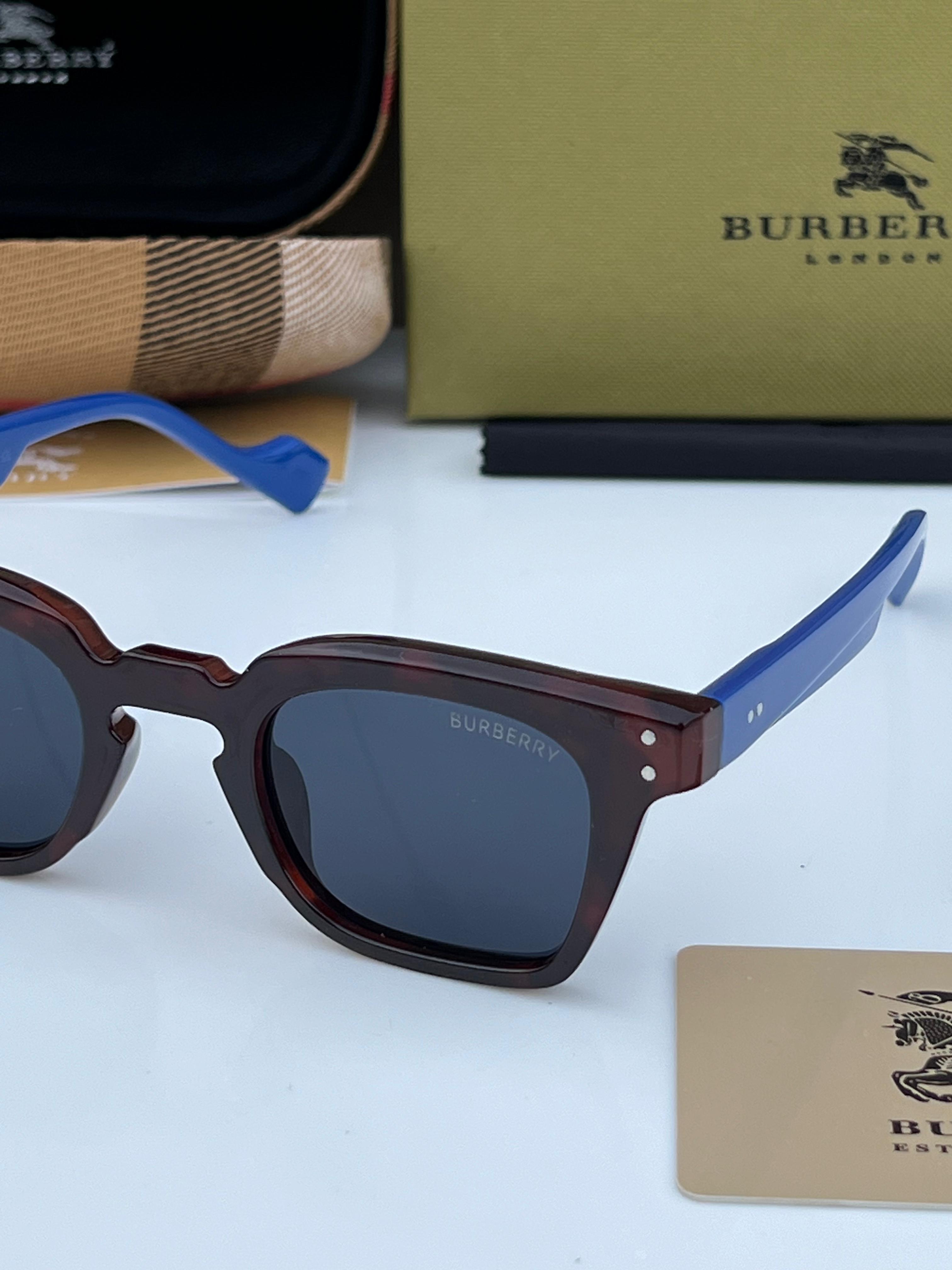 Bur 2001 BROWN BLUE A