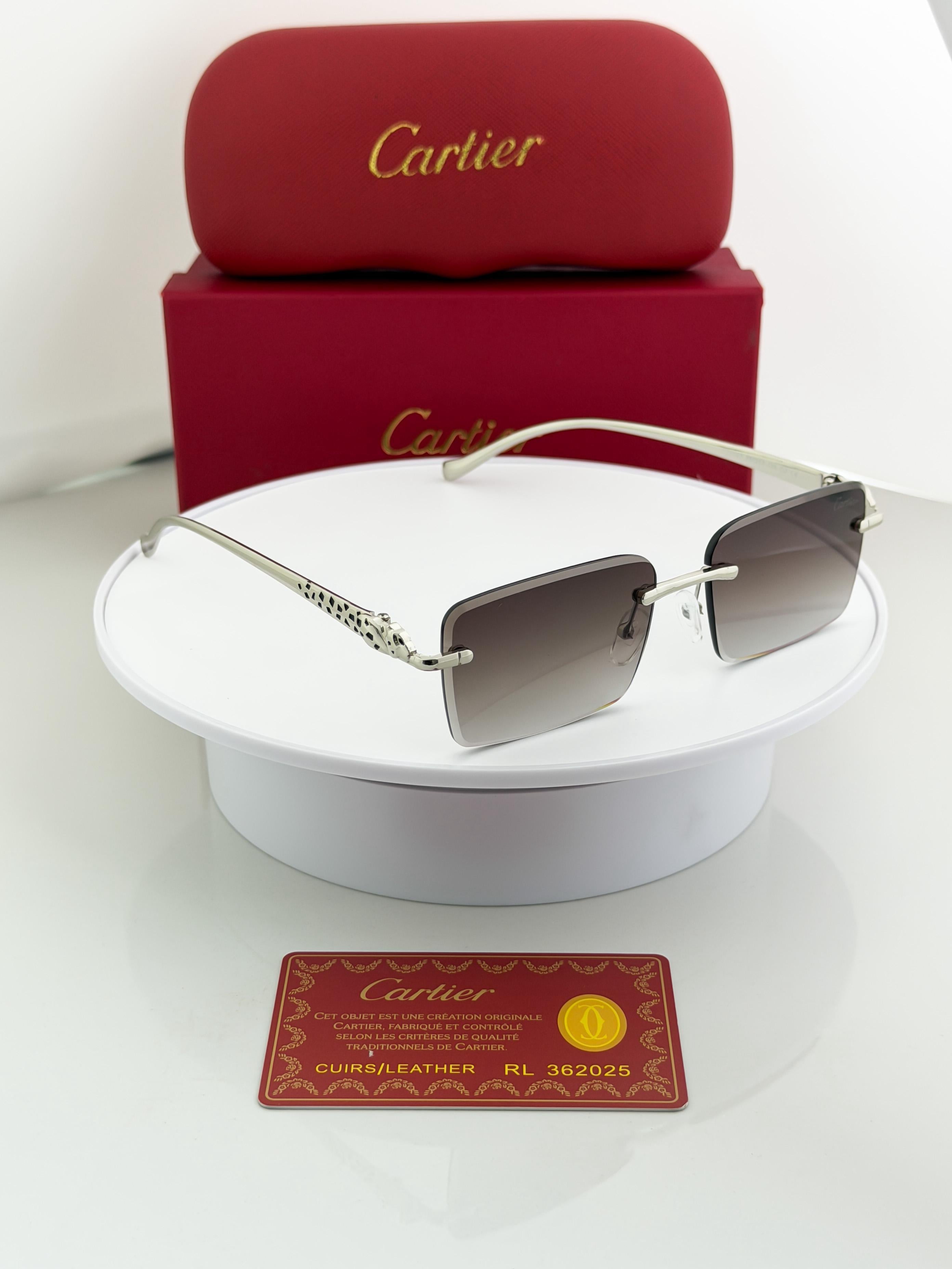 CAR  SILVER BLACK SHADED 1027