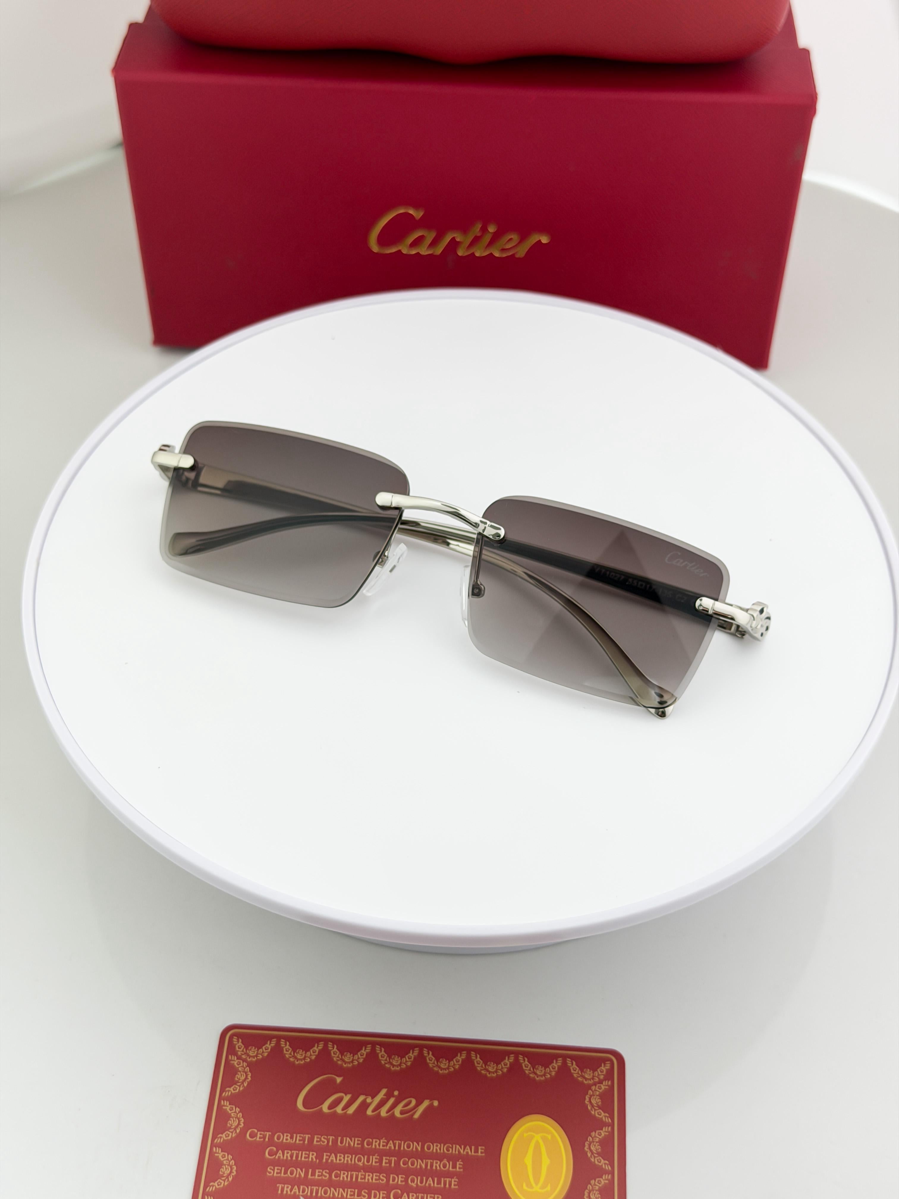 CAR  SILVER BLACK SHADED 1027