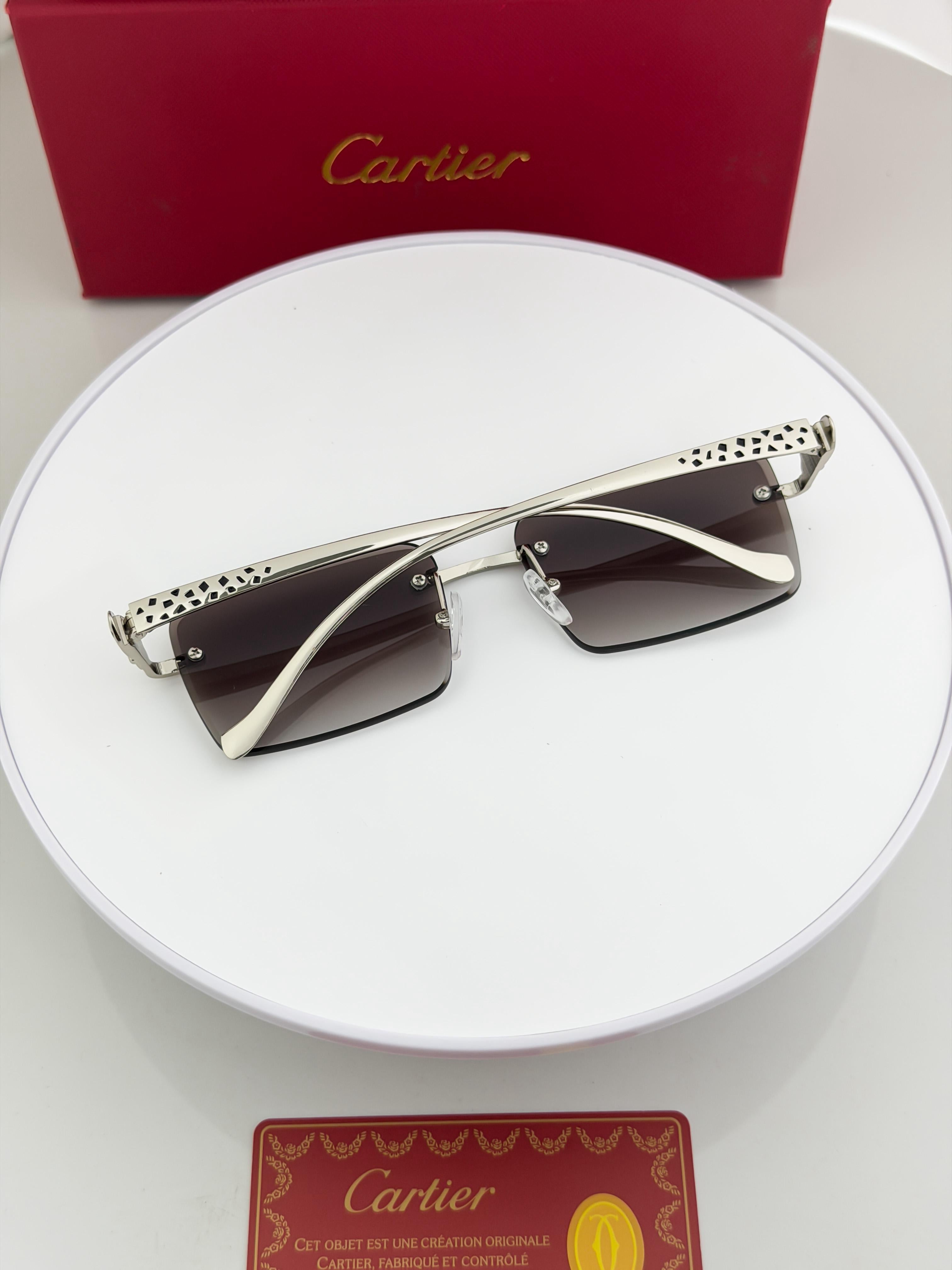 CAR  SILVER BLACK SHADED 1027